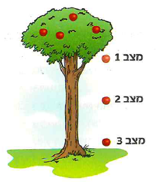 (בספר ציור, היעזר במנחה)